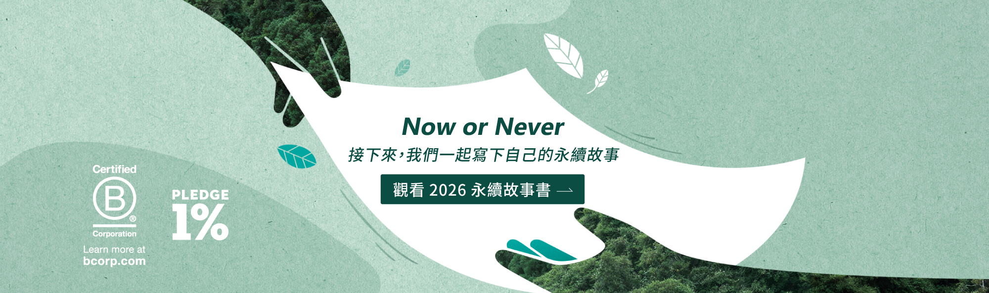 Now or Never - 觀看 2026 全書永續故事