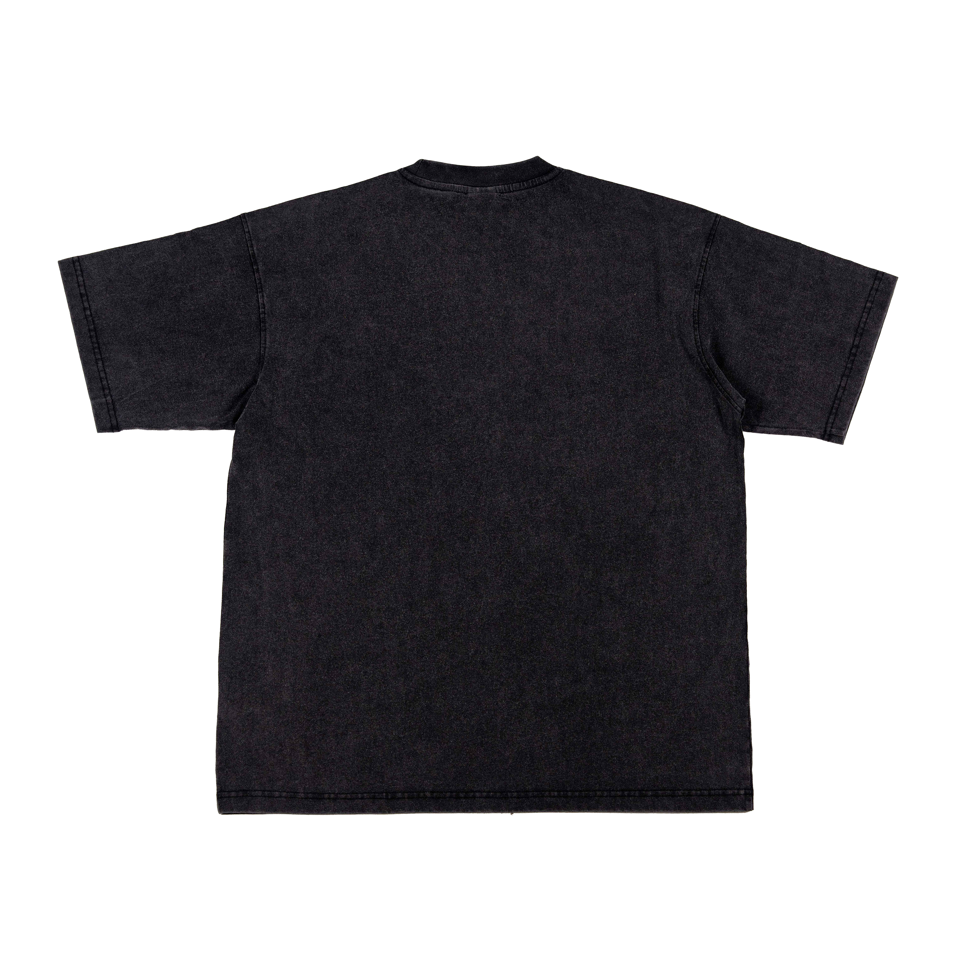 EMC SL63 Washed Tee