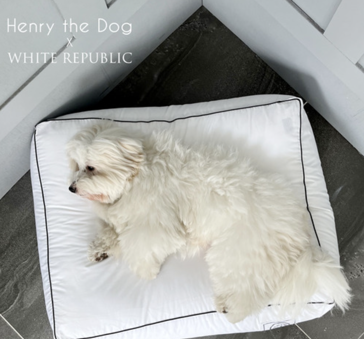 whiterepublic-Lux Signature