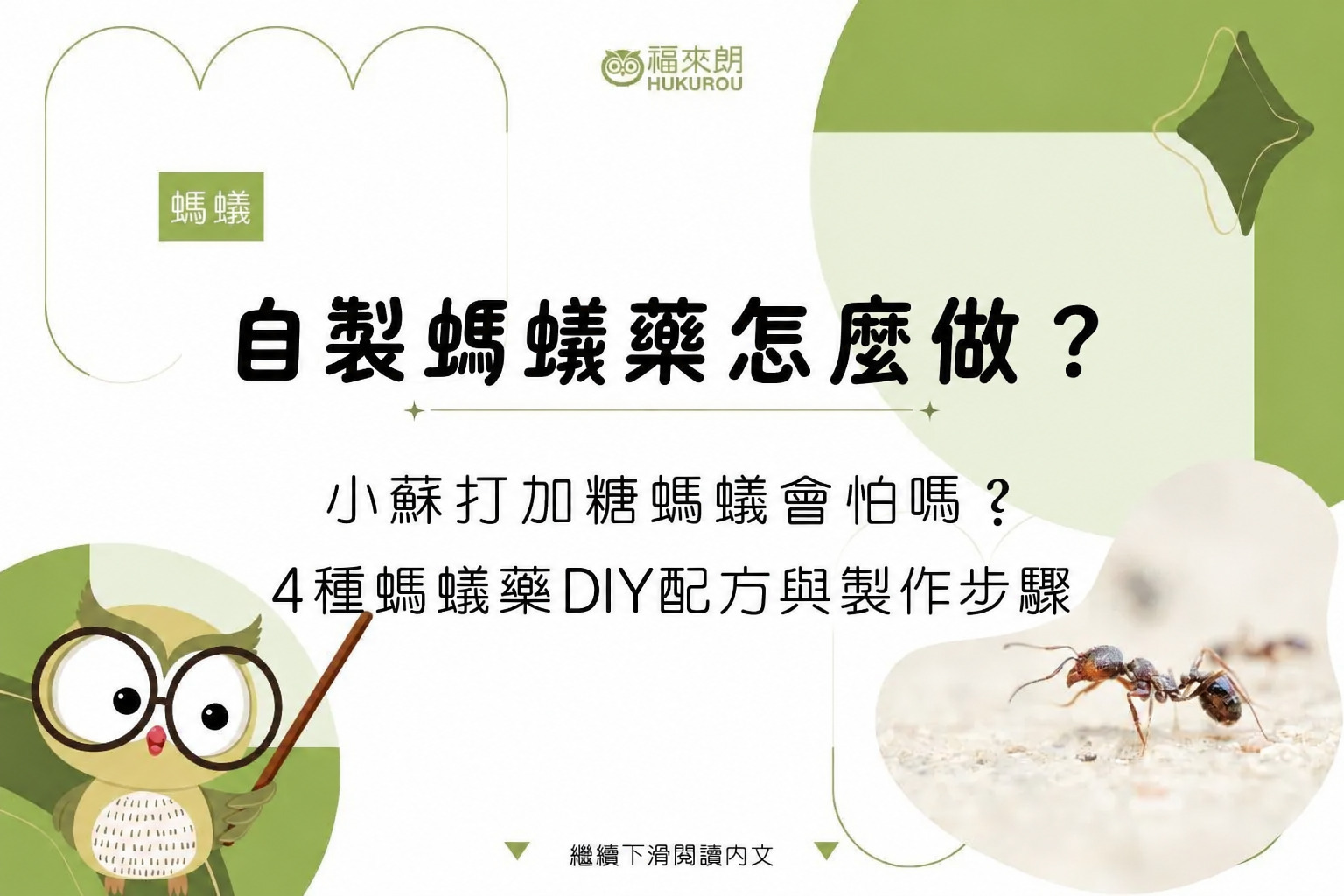 自製螞蟻藥怎麼做?小蘇打加糖螞蟻會怕嗎?4種螞蟻藥DIY配方與製作步驟