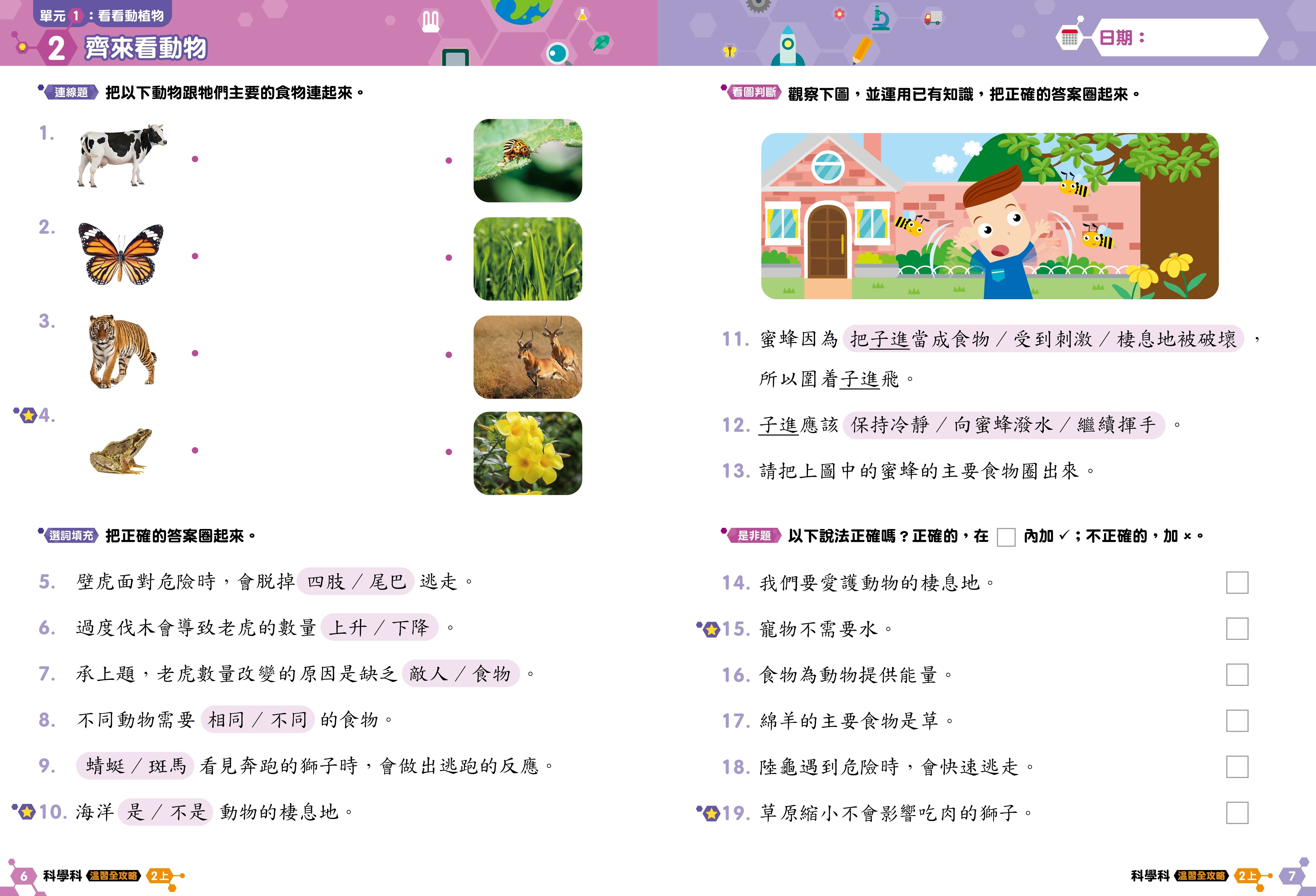 【多買多折】《科學科溫習全攻略  考試前總複習+模擬試卷》2上