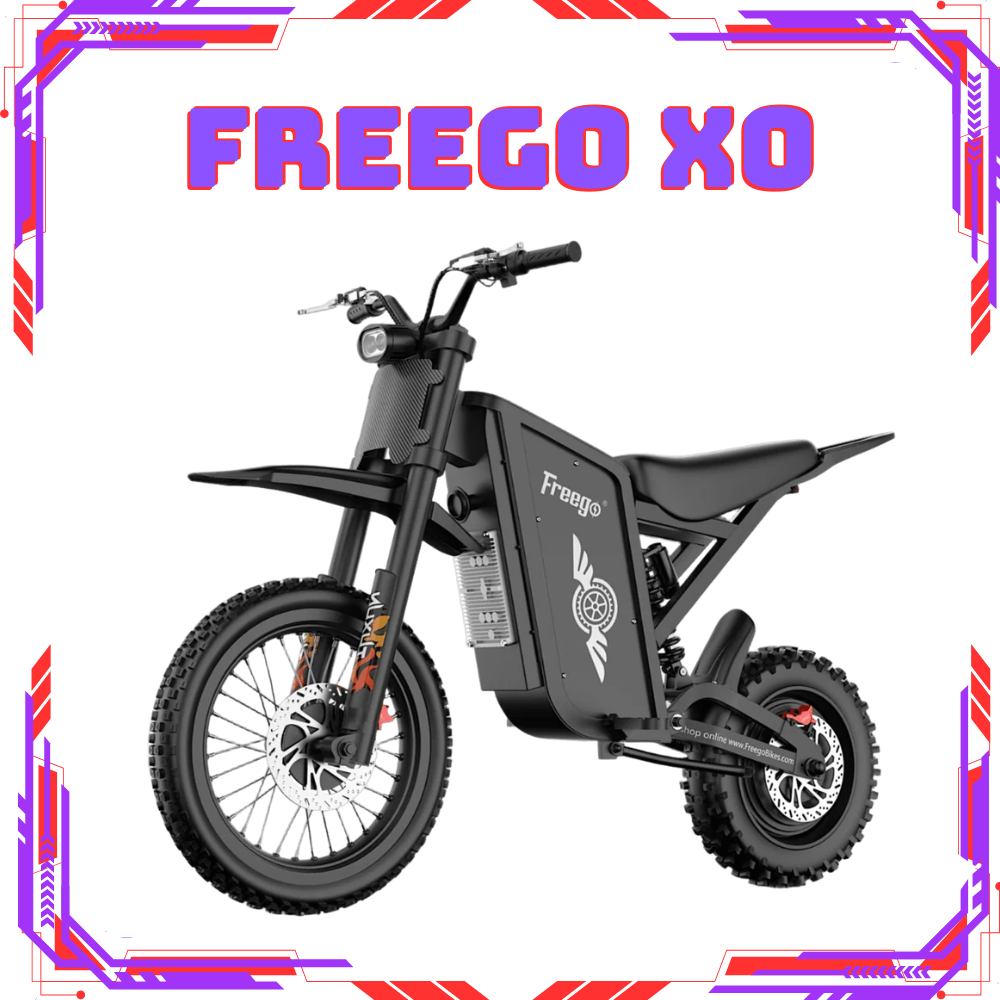 FREEGO X0【讓您體驗旗鑑中的親民感受～騎行出遊的最佳首選】
