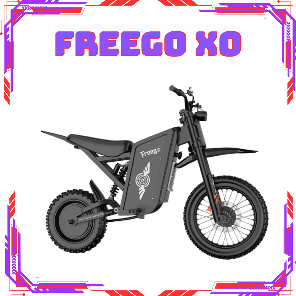 FREEGO X0【讓您體驗旗鑑中的親民感受～騎行出遊的最佳首選】