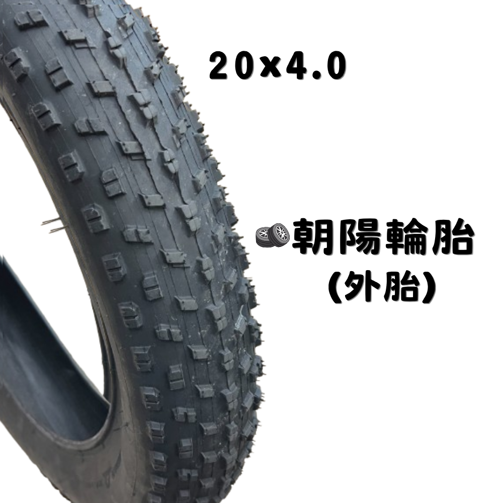電動自行車輪胎20*4寬胎  (賞秋騎行~限量驚喜價)
