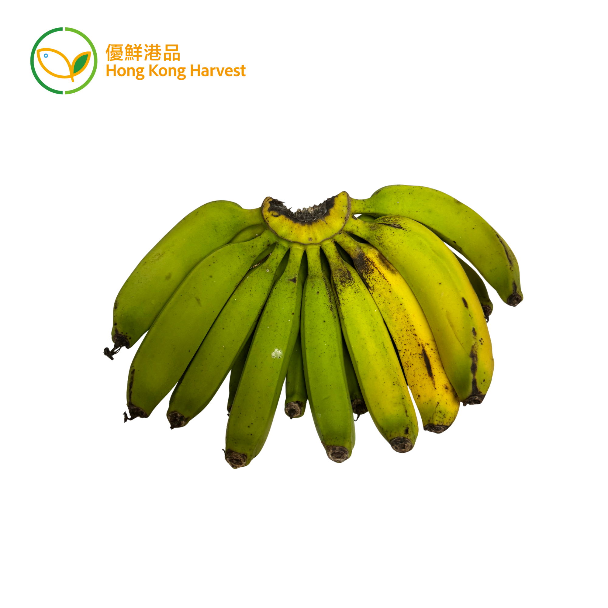 優鮮港品 - 本地有機青皮香蕉 (/半熟)  (斤)