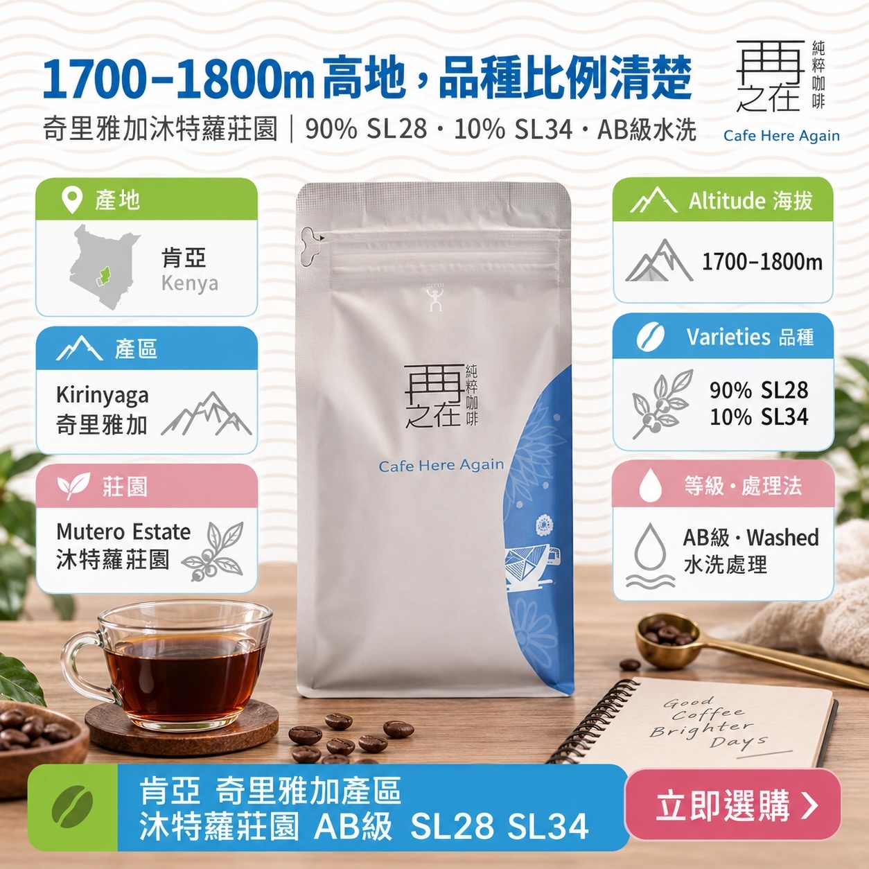 肯亞 奇里雅加產區 沐特蘿莊園 AB級