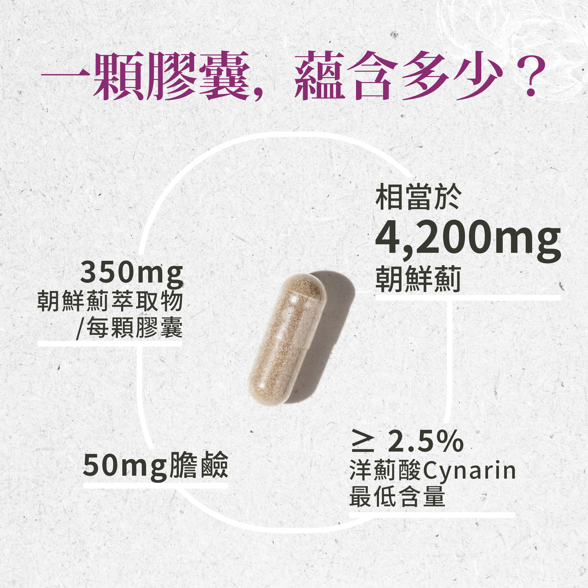 朝鮮薊膠囊