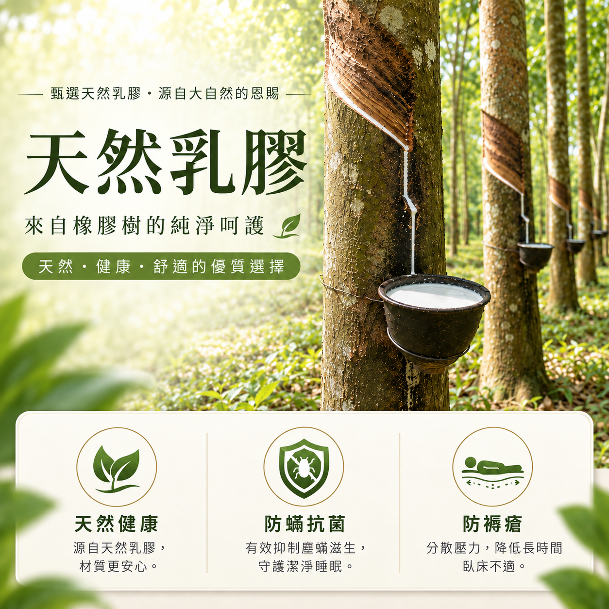 迪奧斯天然乳膠床墊源自橡膠樹的珍稀天然乳膠汁液