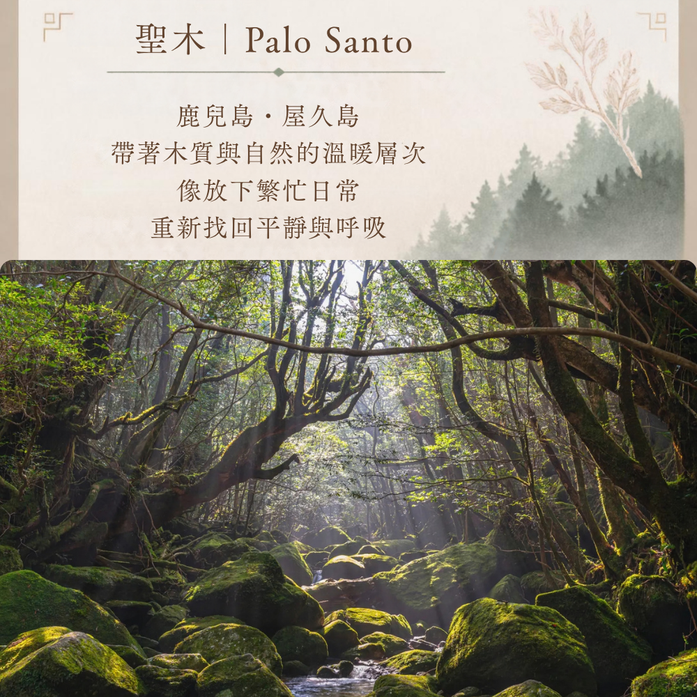 一息 hitoiki 線香｜聖木 Palo Santo 20入 【木質香氣調】