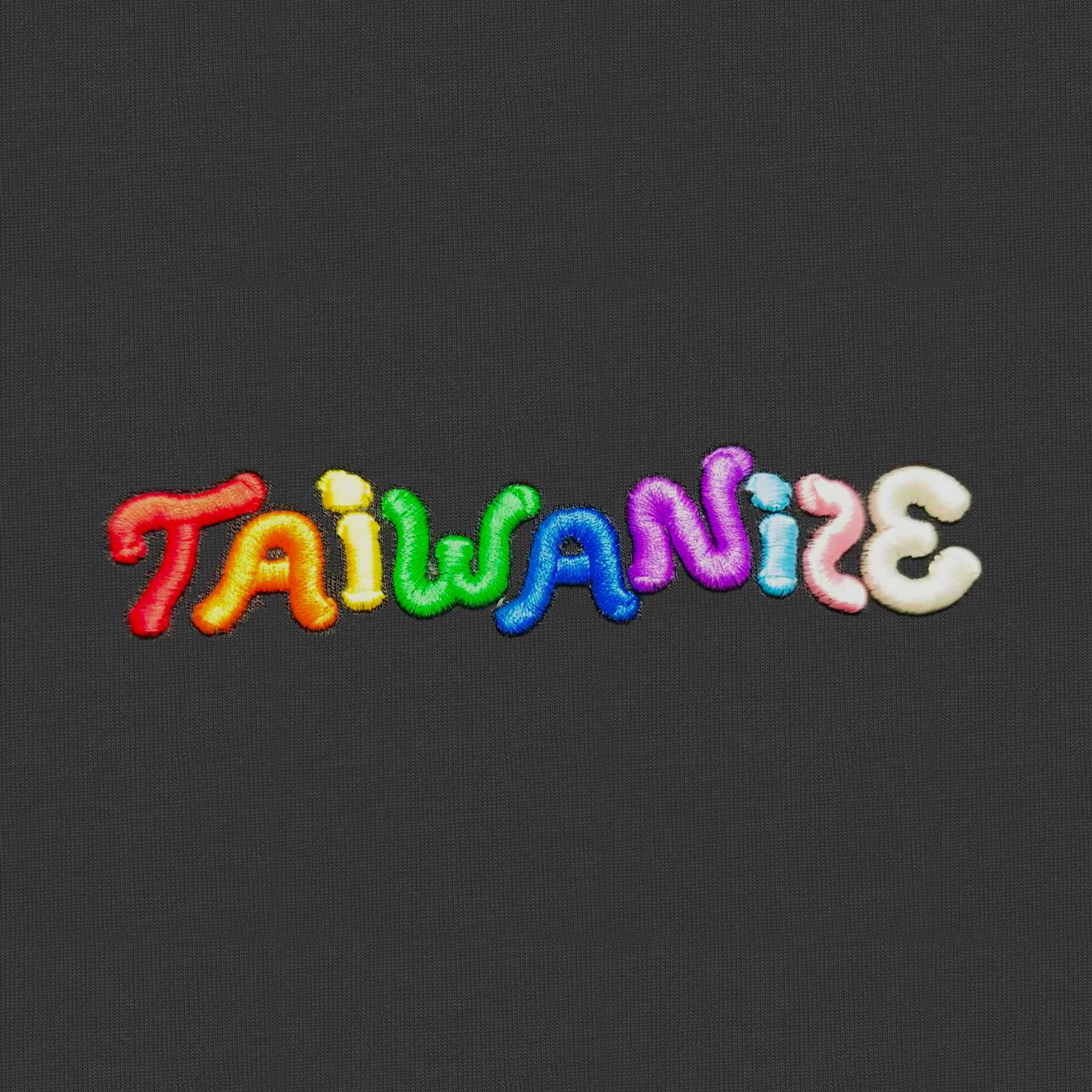 TAIWANIZE 彩虹劍獅 T恤 黑色布面品牌字樣立體刺繡細節