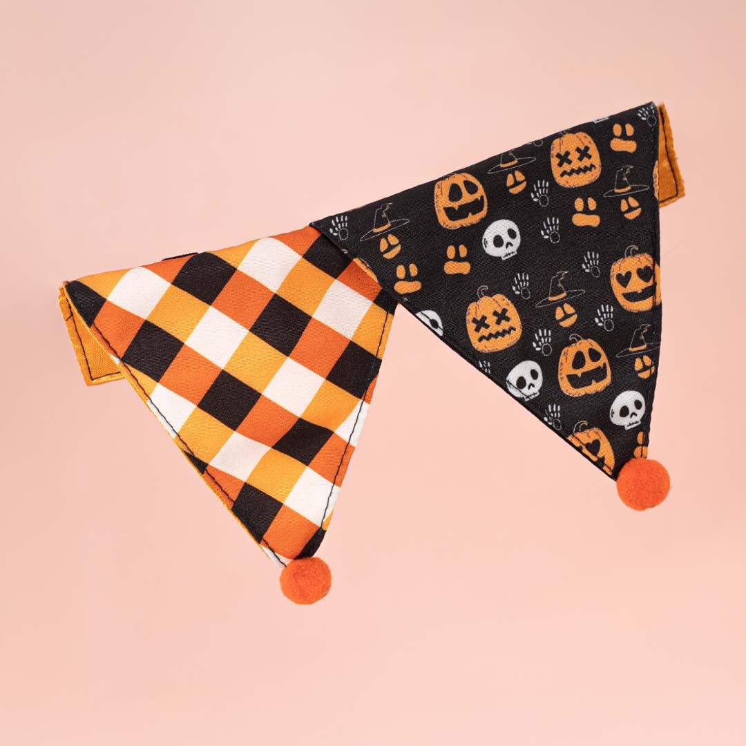 ハロウィン ピエロ カラー
