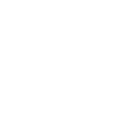 精準局部修復技術