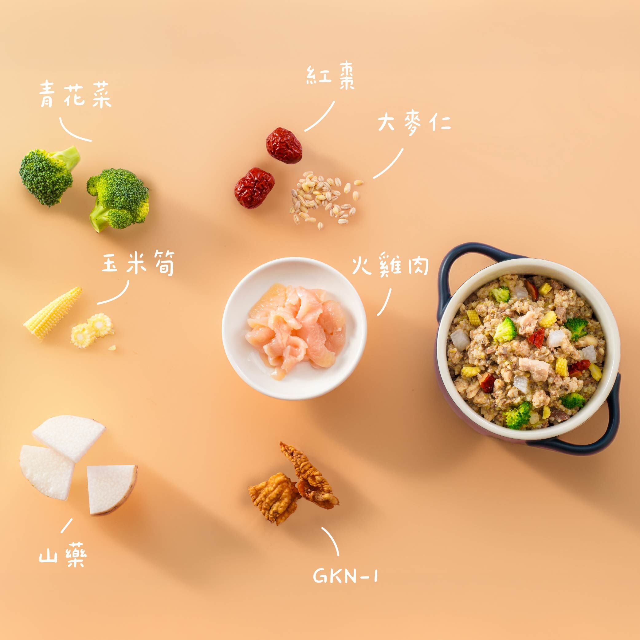 【漢方鮮食】火雞肉大麥仁－肚肚好舒服