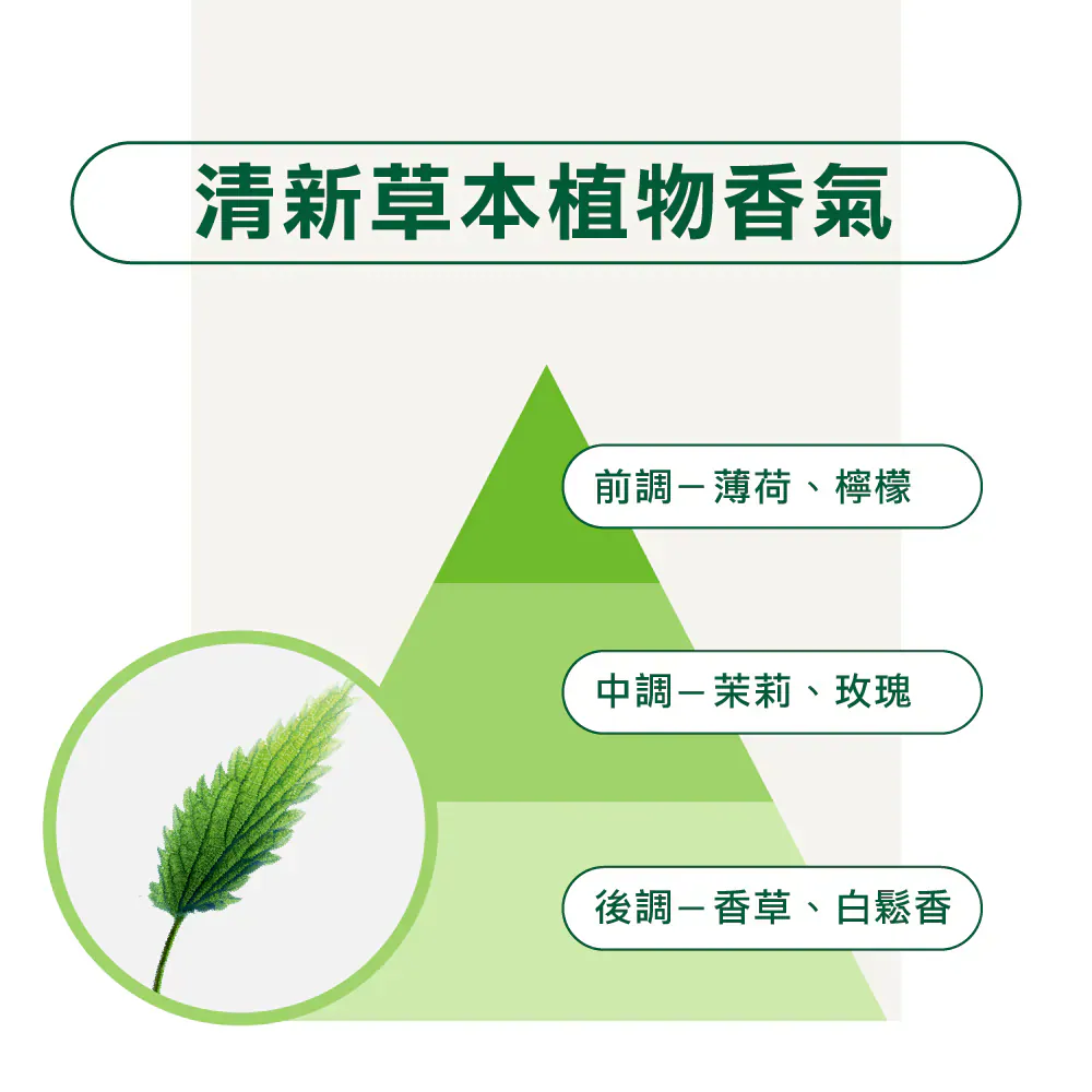 KLORANE 蔻蘿蘭控油洗髮精清新草本香調層次 - 前調薄荷檸檬、中調茉莉玫瑰、後調香草與白鬆香