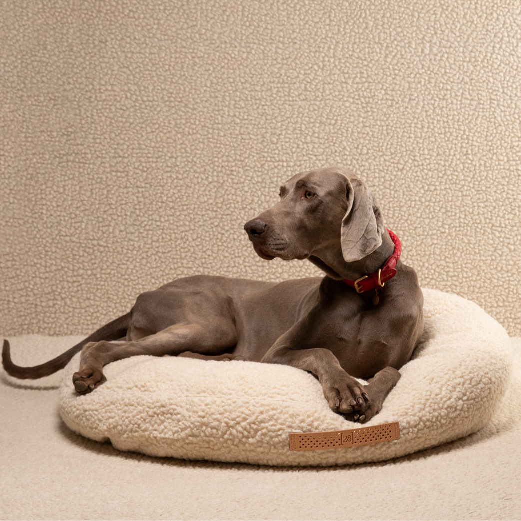 2.8 Design for Dogs - Fulvio 圈圈紗羊毛寵物床 - 白