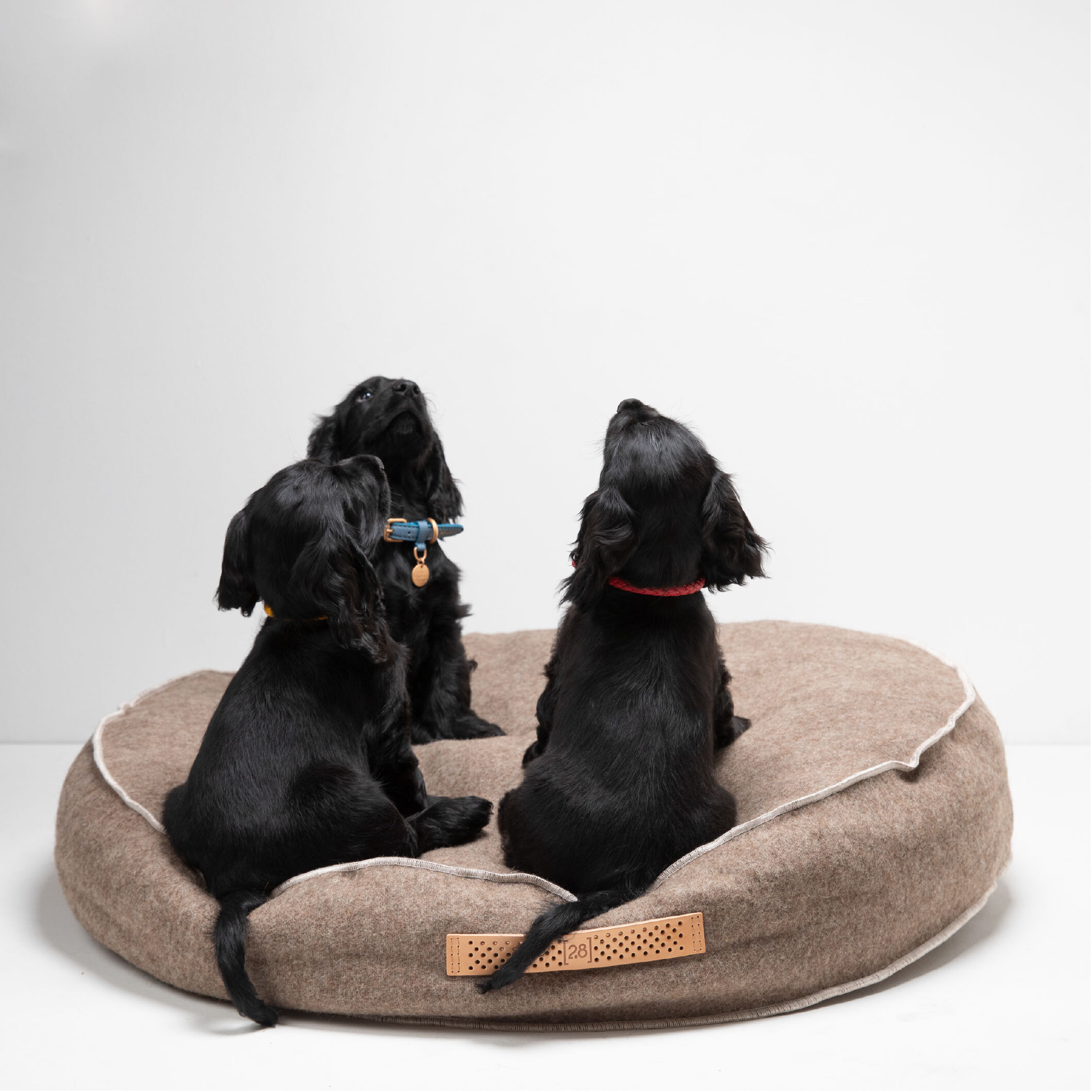 2.8 Design for Dogs - Fulvio 回收羊毛寵物床 - 白