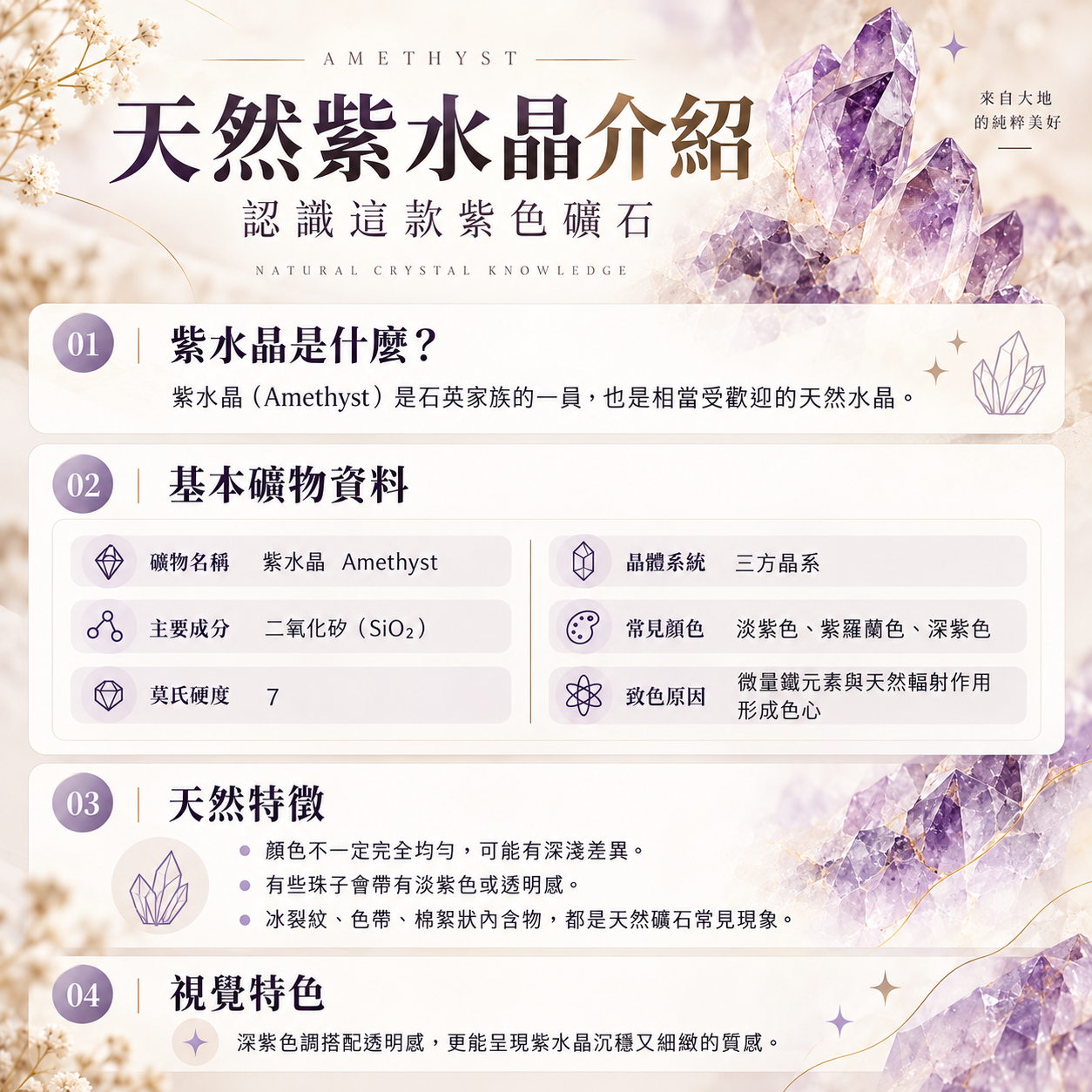 天然紫水晶介紹｜紫水晶 Amethyst 礦物知識圖，介紹紫水晶二氧化矽成分、莫氏硬度7、三方晶系、紫色成因及天然冰裂紋、色帶與礦物內含物特徵