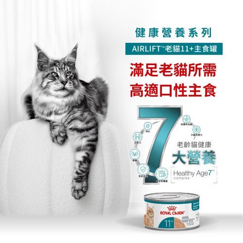 Royal Canin 貓罐頭．AIRLIFT系列 老年貓11+ 營養主食配方85g