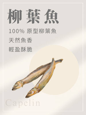 寵物凍乾