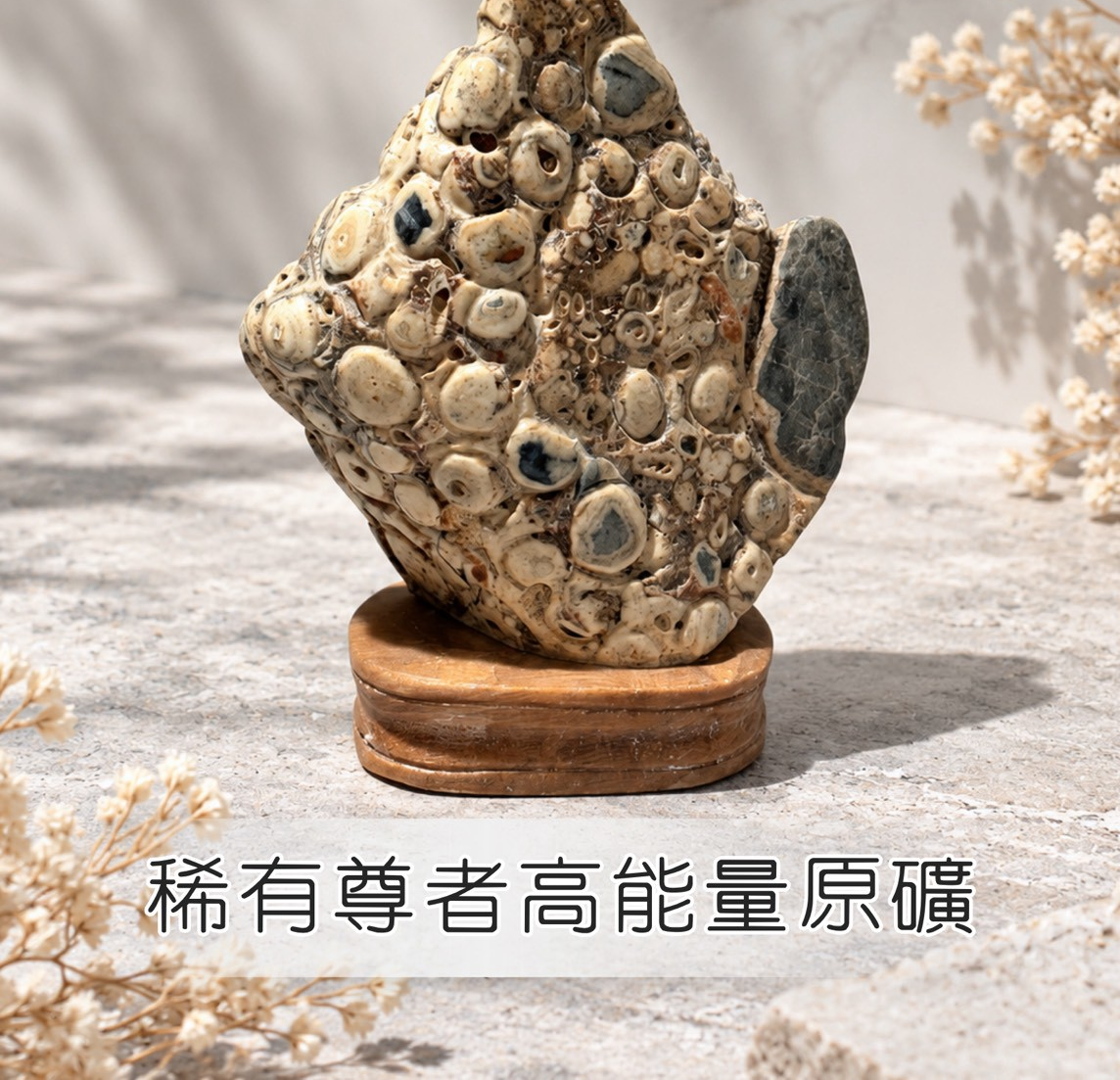 (AW) 稀有尊者高能量原礦 (約9-12公分) #1410lg