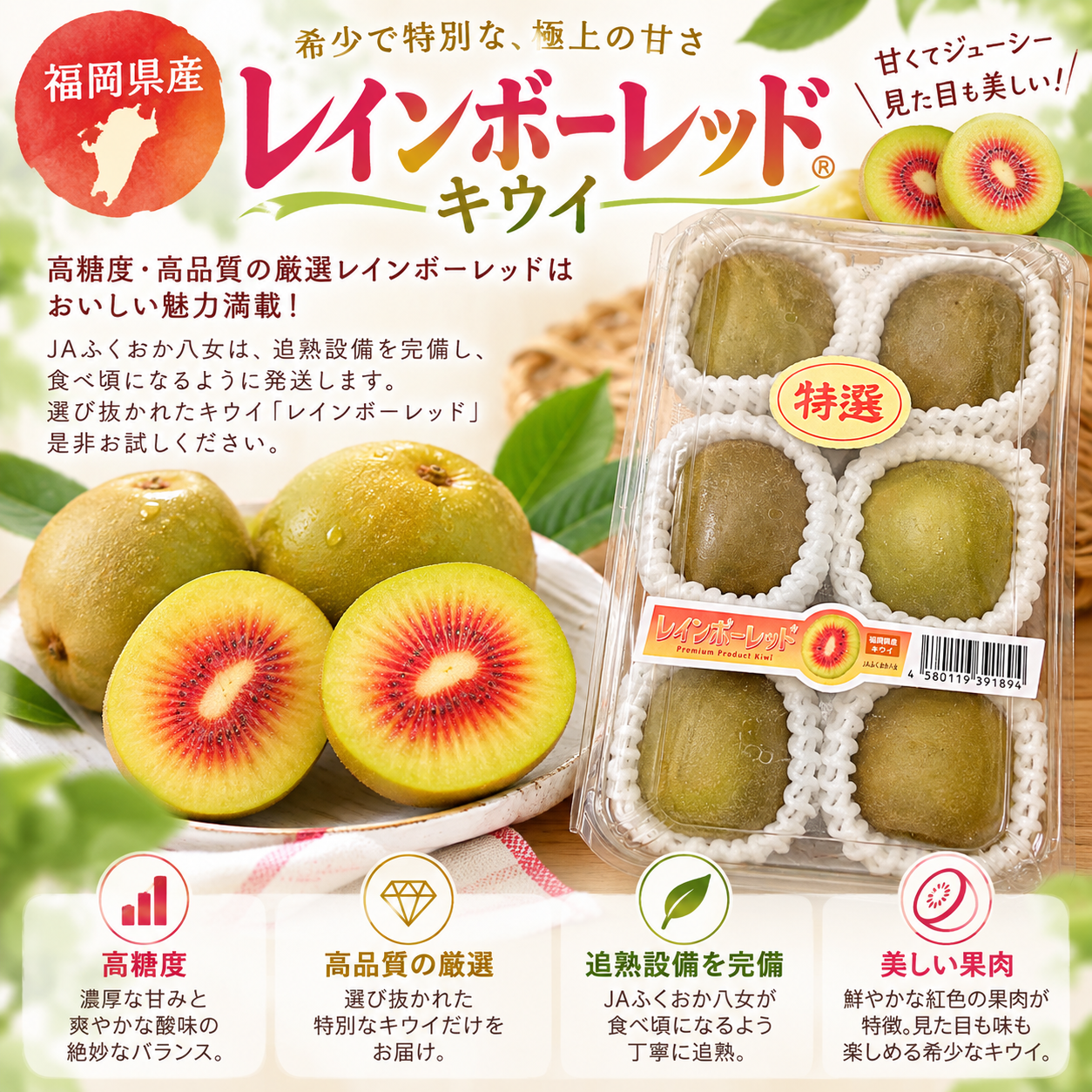 日本福岡縣彩虹奇異果(6個)