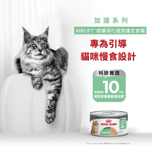 Royal Canin 貓罐頭．AIRLIFT系列 成貓 消化道 加護主食配方85g
