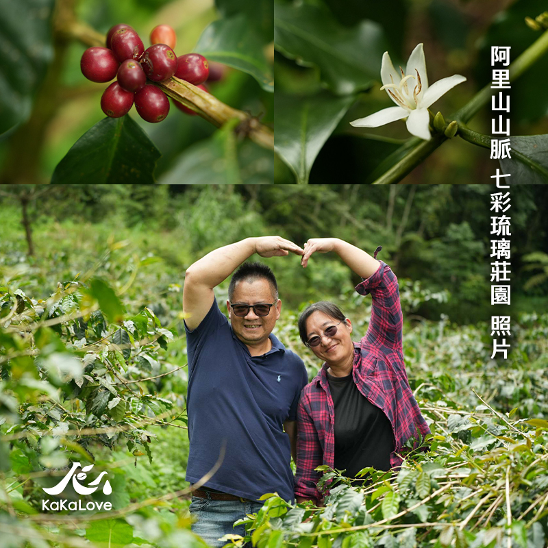 台灣 蜜處理  阿里山山脈 達邦 七彩琉璃咖啡莊園 SL34 0.25磅