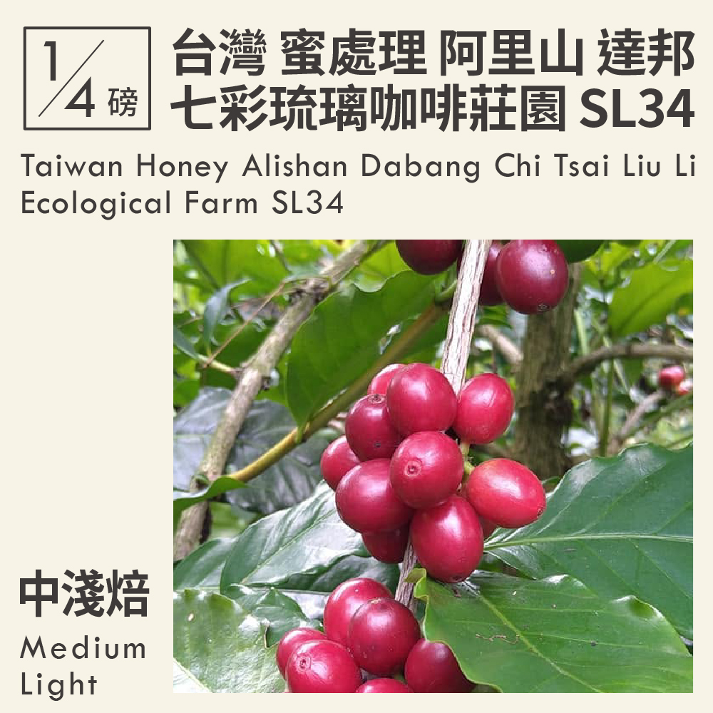 台灣 蜜處理  阿里山山脈 達邦 七彩琉璃咖啡莊園 SL34 0.25磅