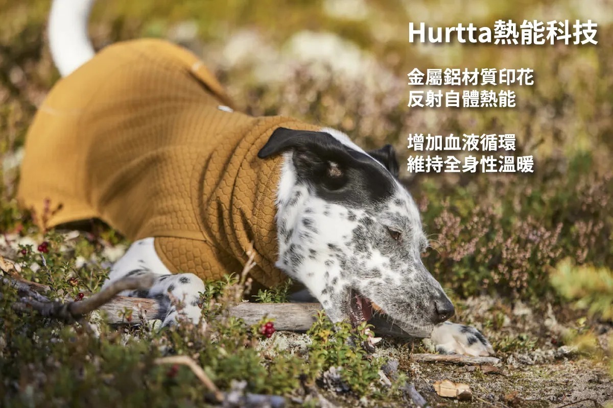 Hurtta