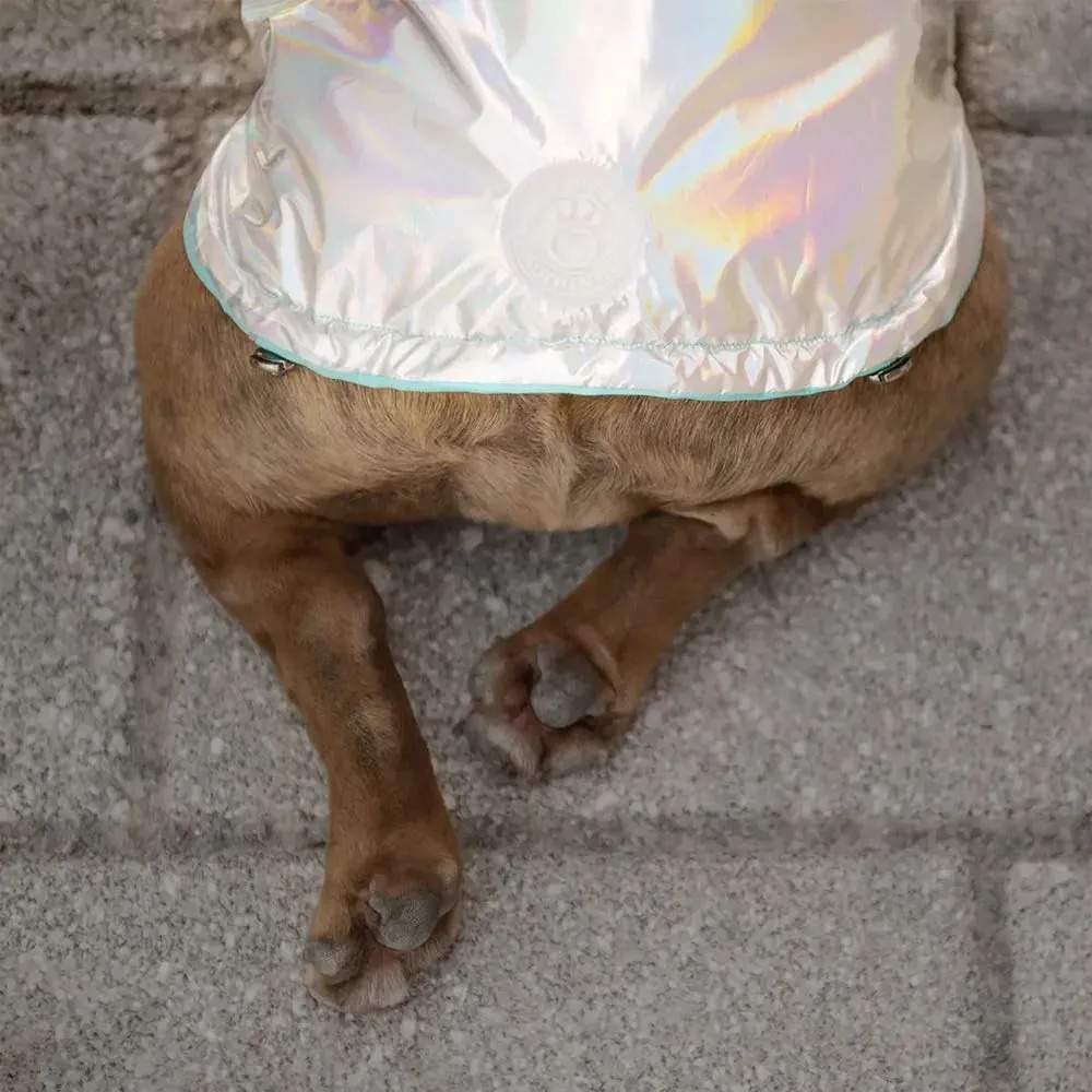 GF PET