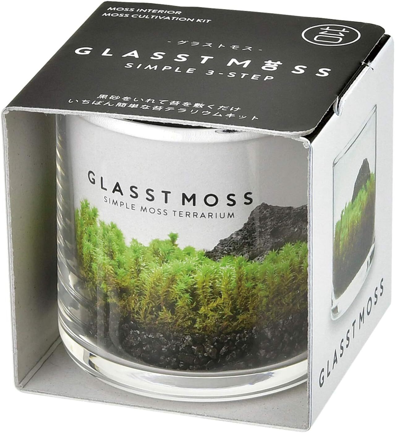 Seishin GD-933 GLASSTMOSS