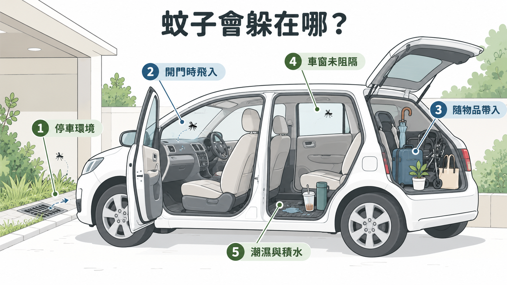 車子裡為什麼會有蚊子?5大常見蚊蟲躲藏與入侵途徑