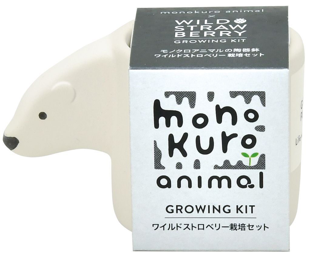 SeiShin GD-100703 monokuro animal polar bear-wild Strawberry