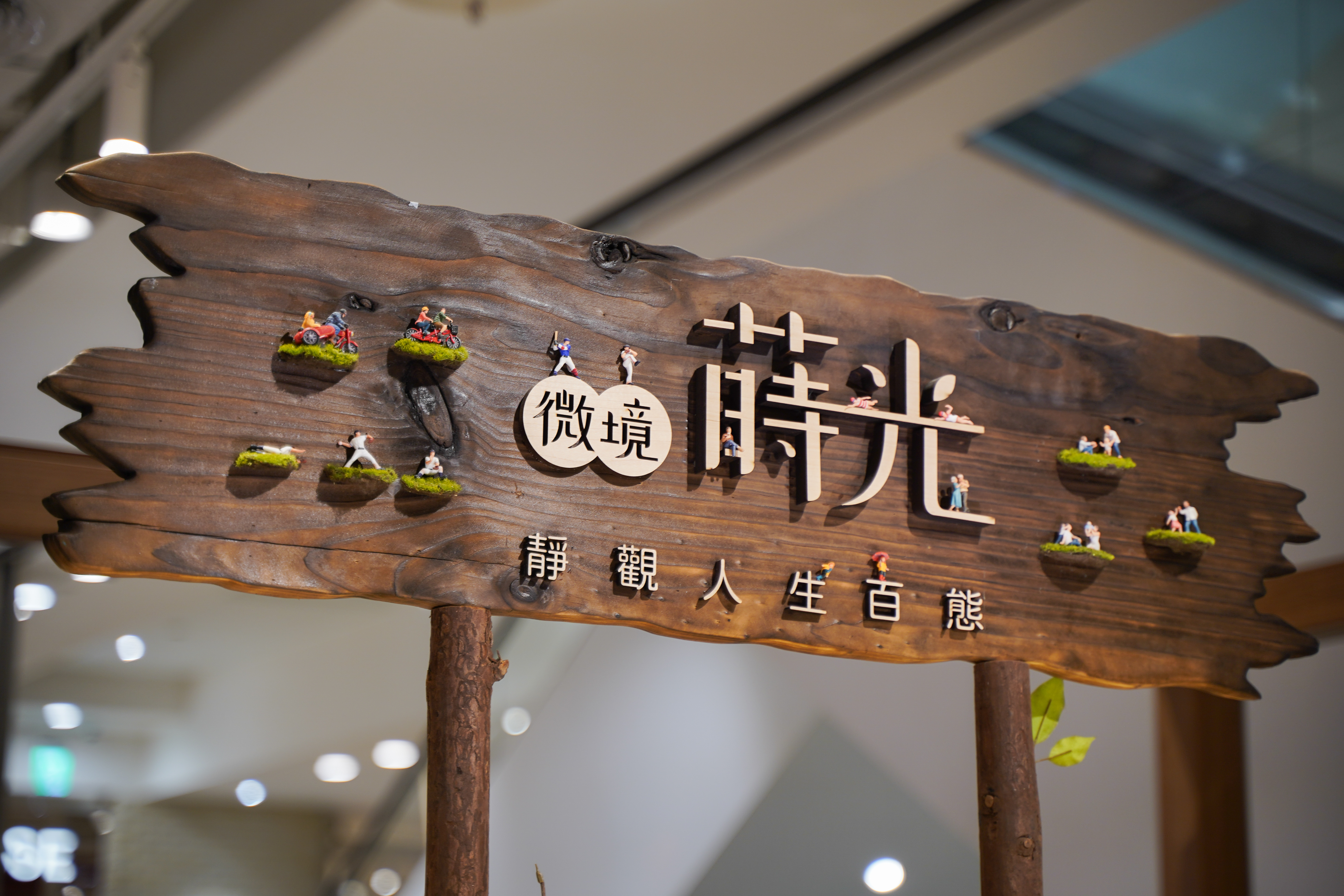 微境蒔光