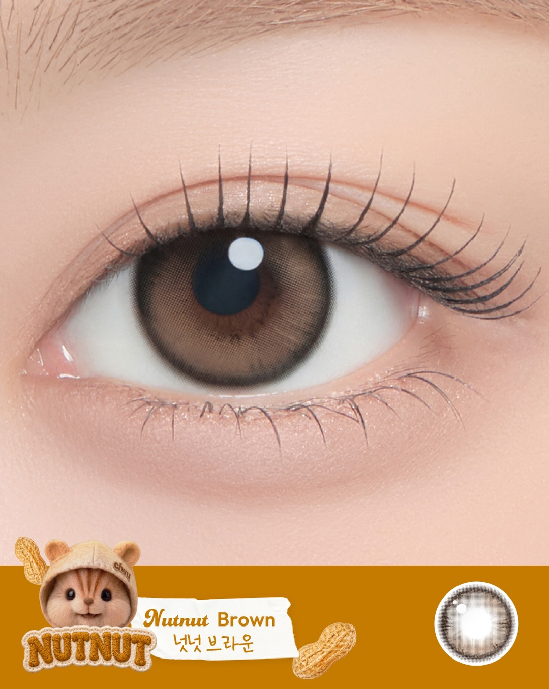 chuu-lens-chippy-co-1-day-nutnut-brown