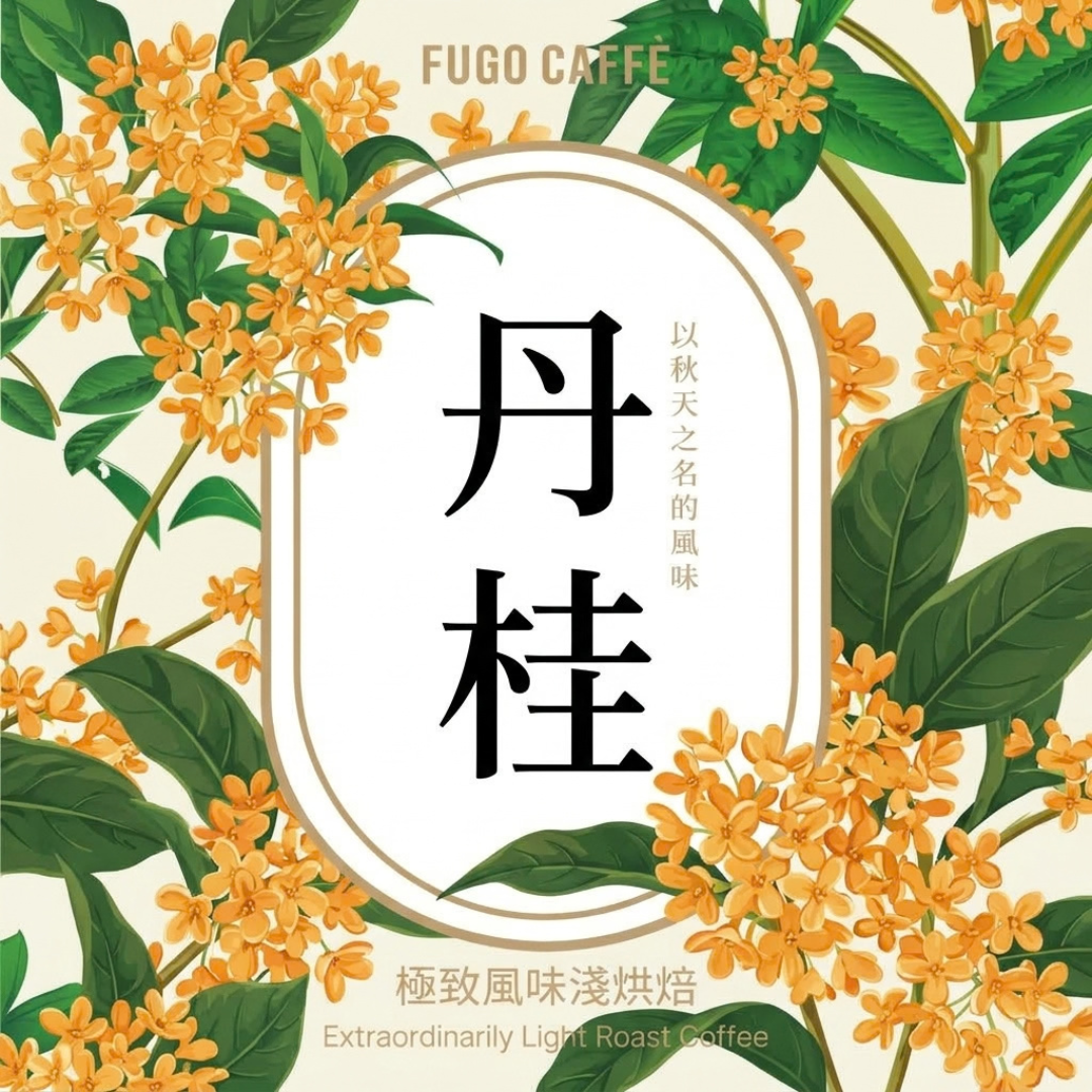 耶家雪啡 丹桂  迷霧山谷 日曬