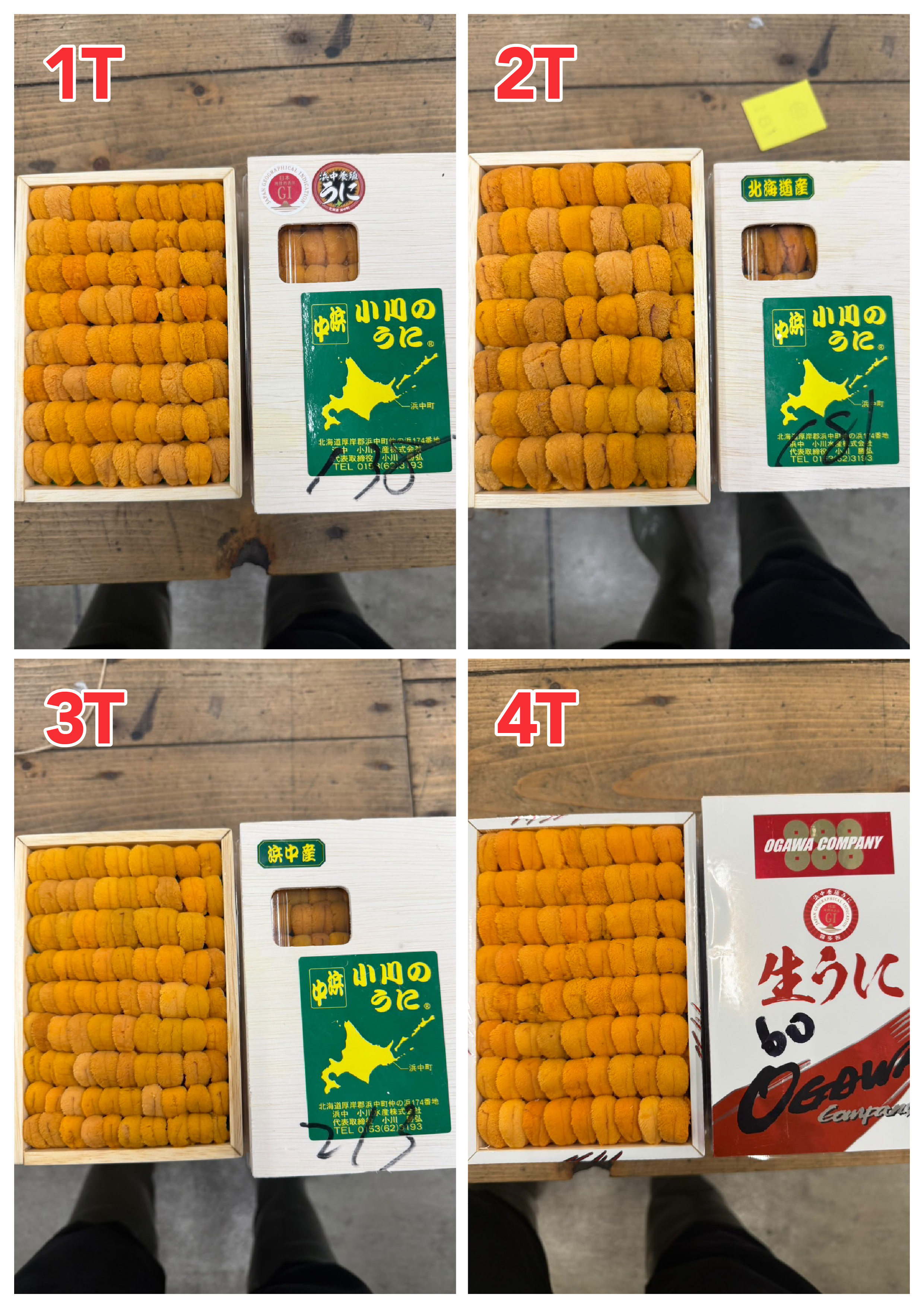 【Recommended Sea Urchin (Uni) Selection】 Updated Daily (Order Today for Next-Day Delivery)