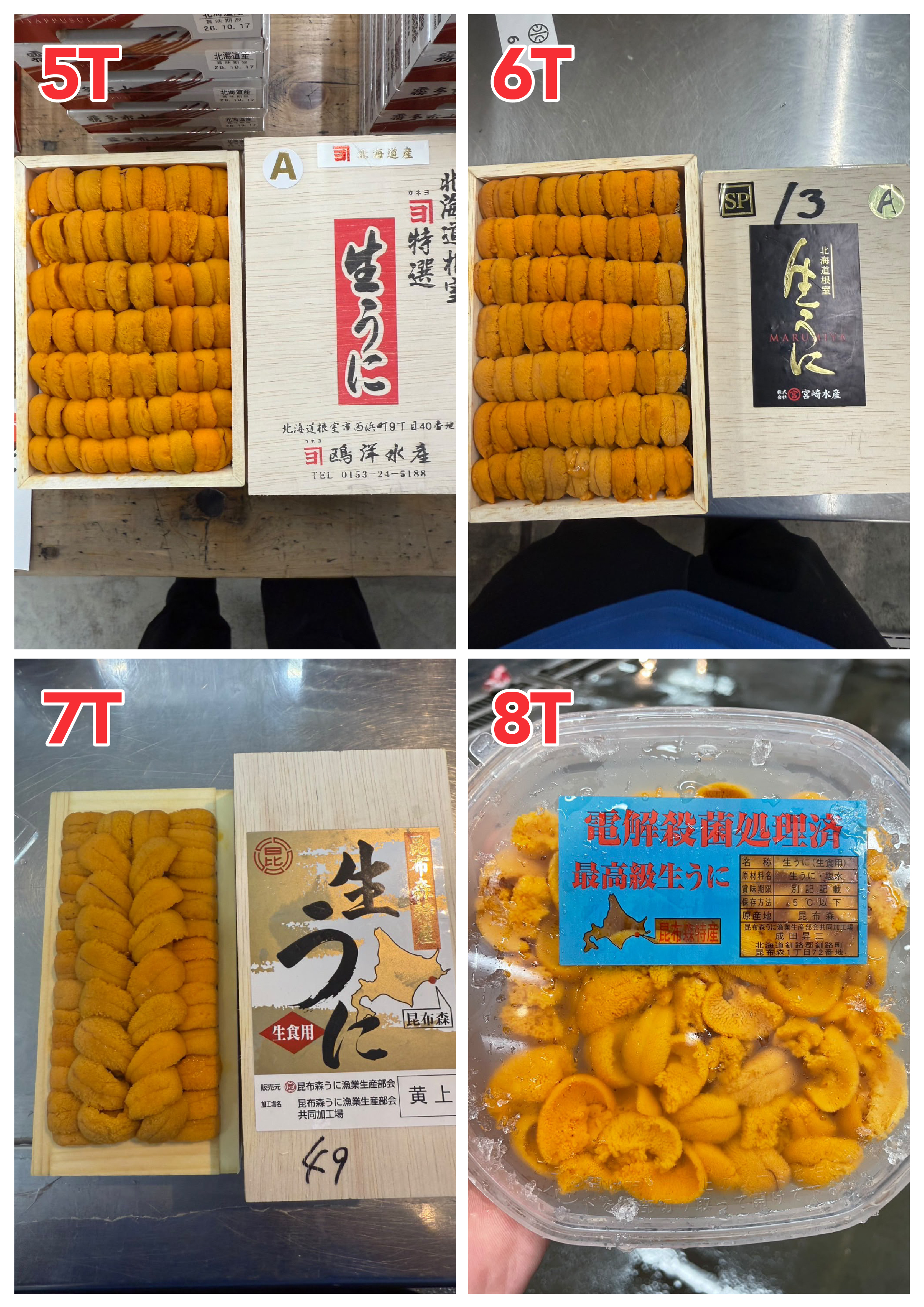 【Recommended Sea Urchin (Uni) Selection】 Updated Daily (Order Today for Next-Day Delivery)