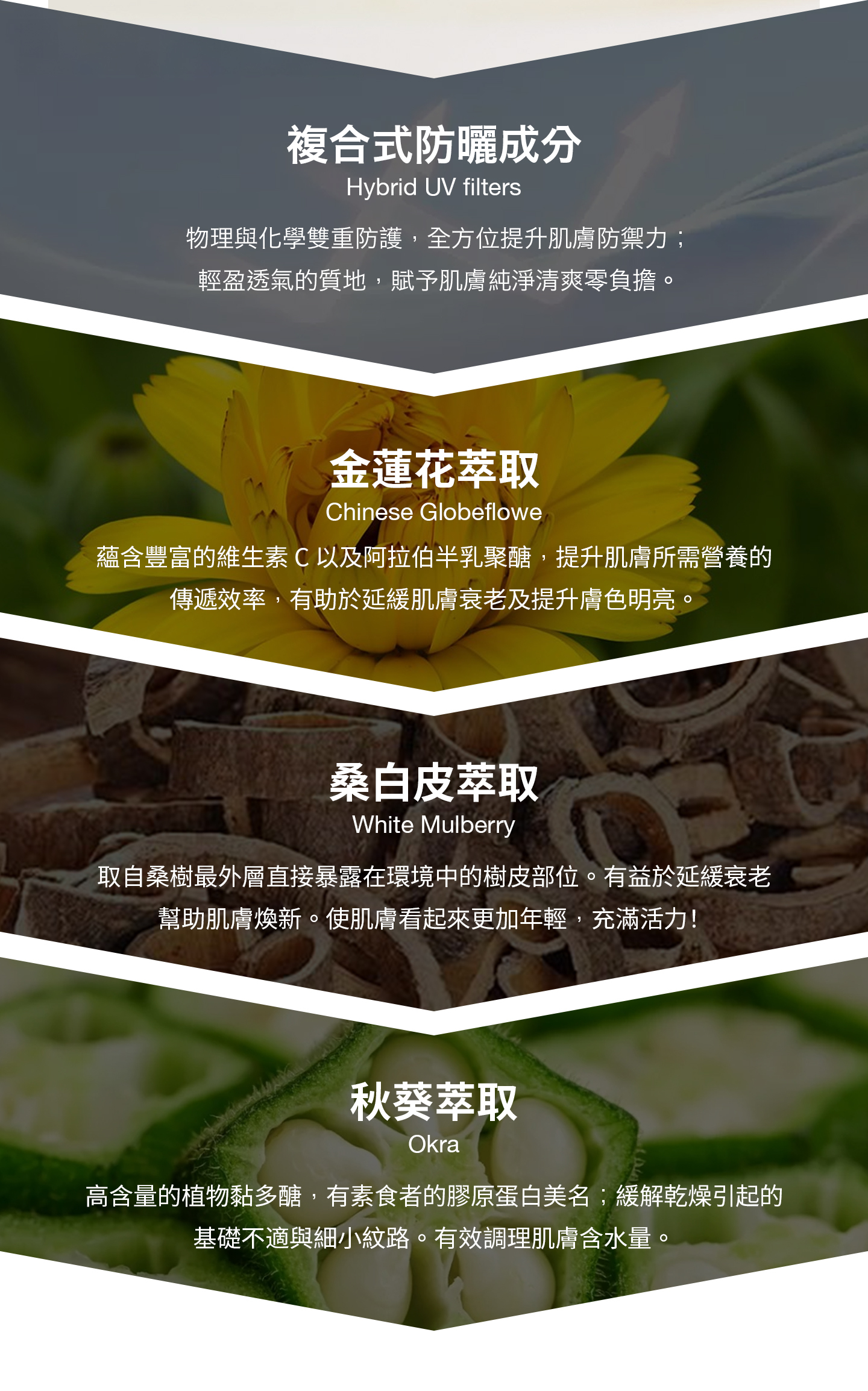 nomel 全天・輕盈隔離乳成分表與關鍵成分介紹