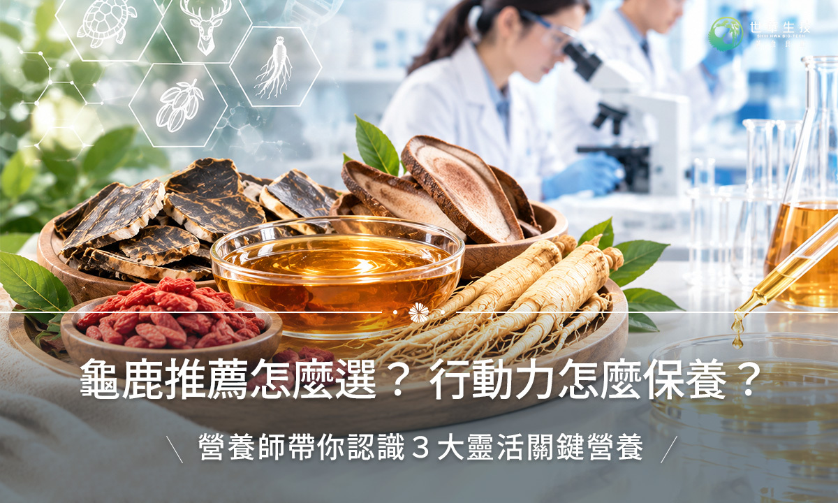 龜鹿推薦怎麼選?先認識常見的3大靈活關鍵營養