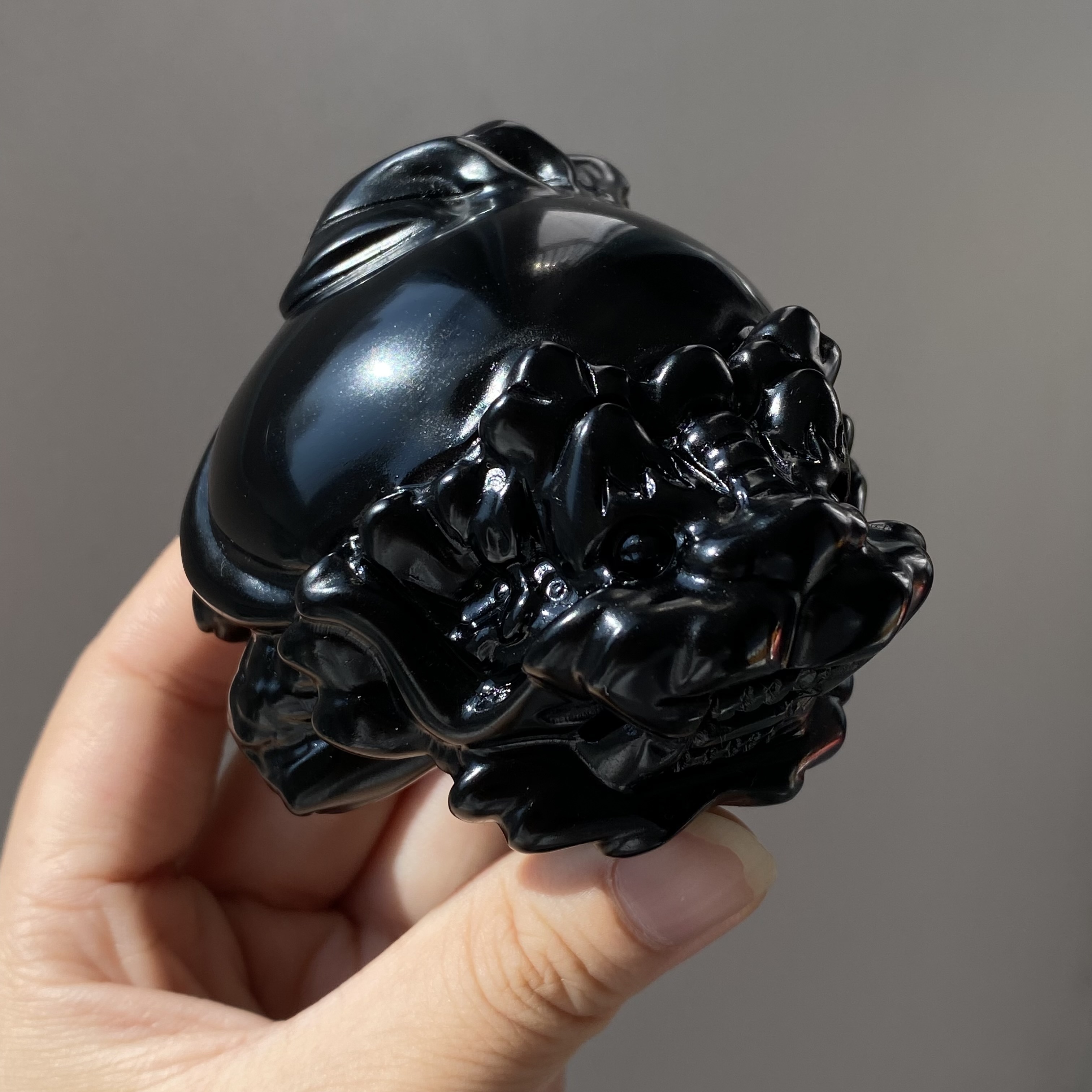 黑曜石龍龜