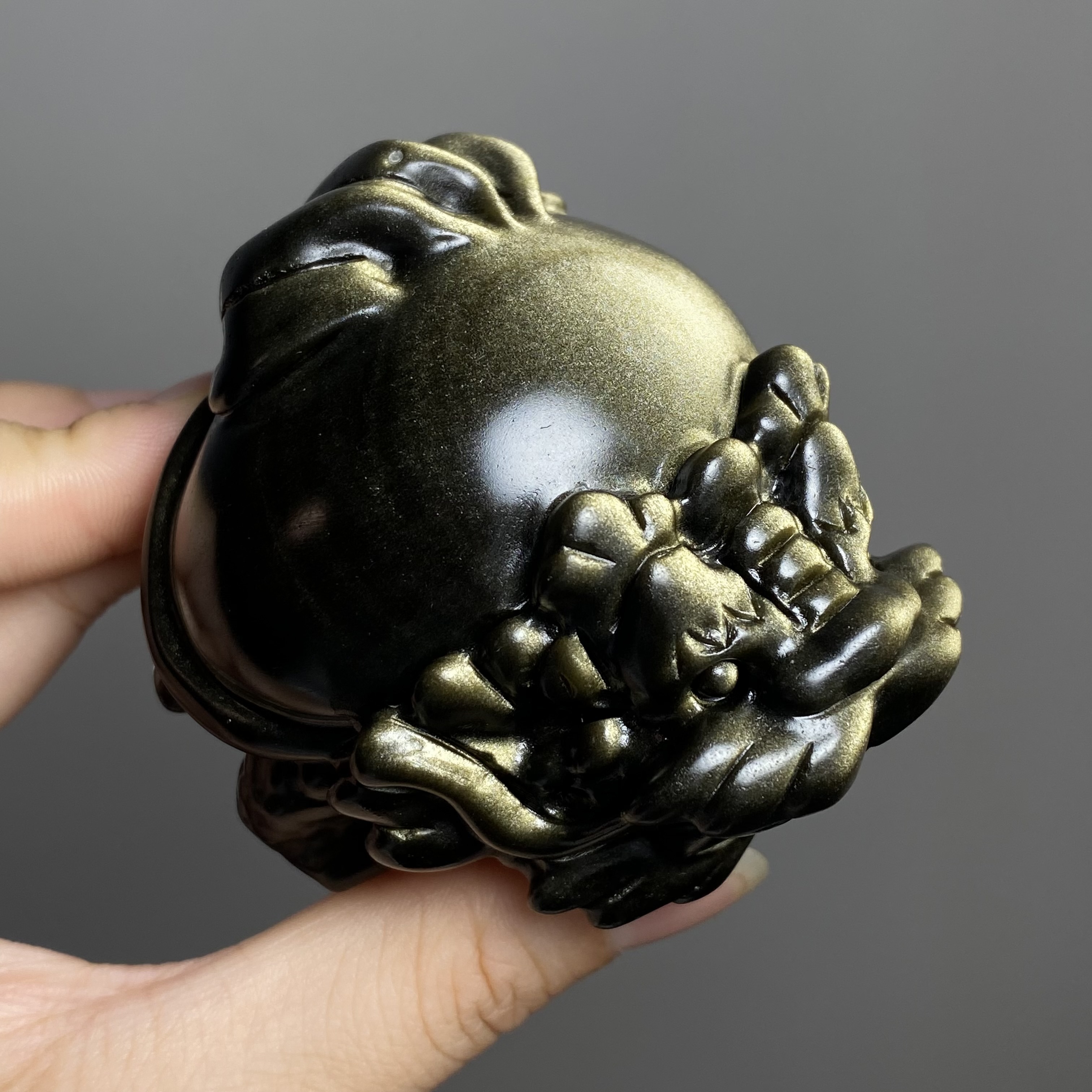 金曜石龍龜