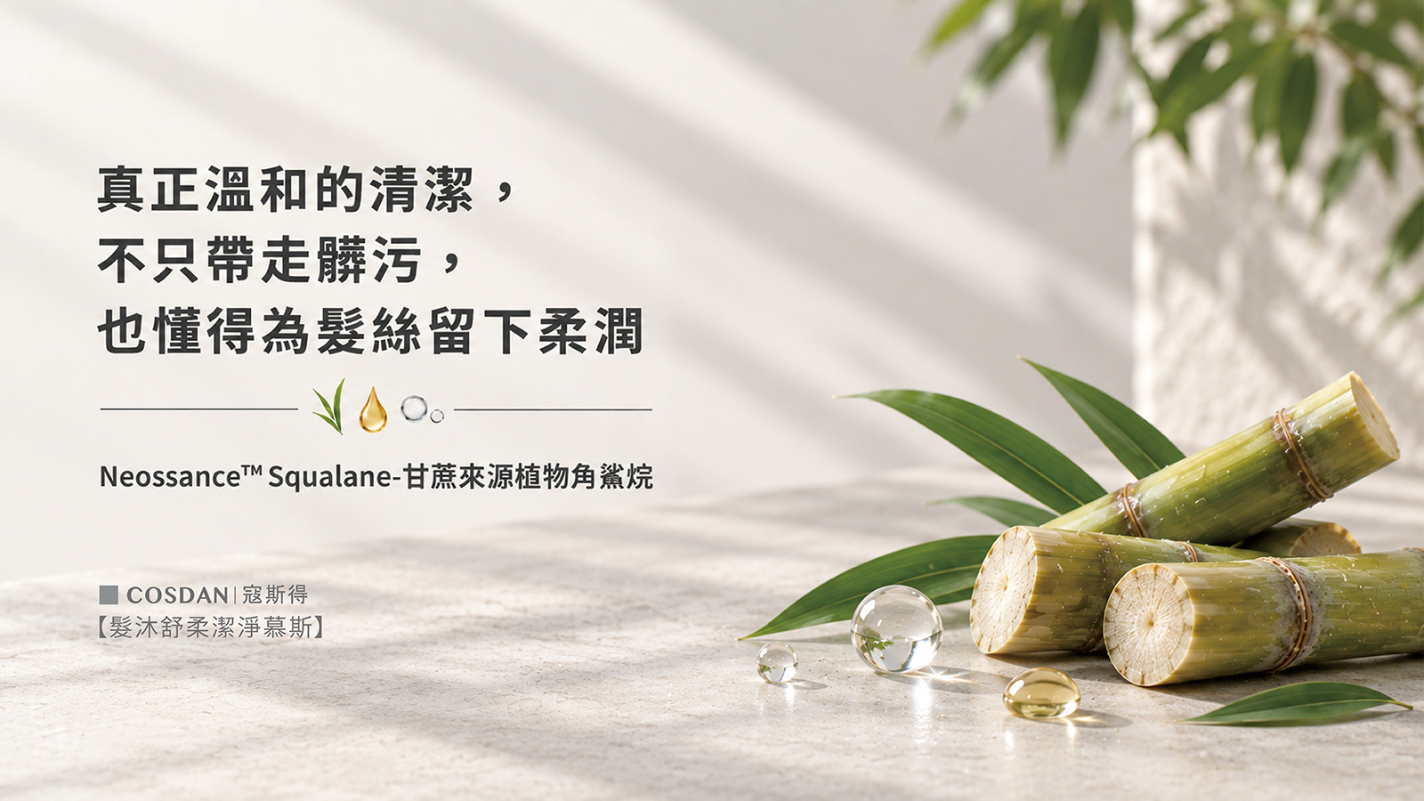 Ginger Essential Oil 薑精油