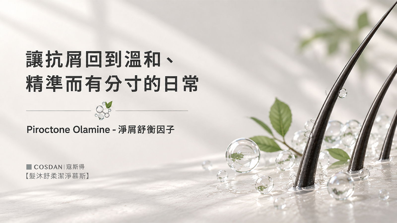 Piroctone Olamine 淨屑舒衡因子