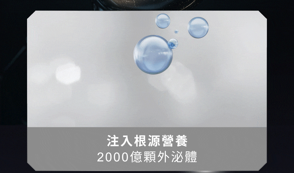 注入根源營養 2千億顆外泌體，平衡頭皮菌叢