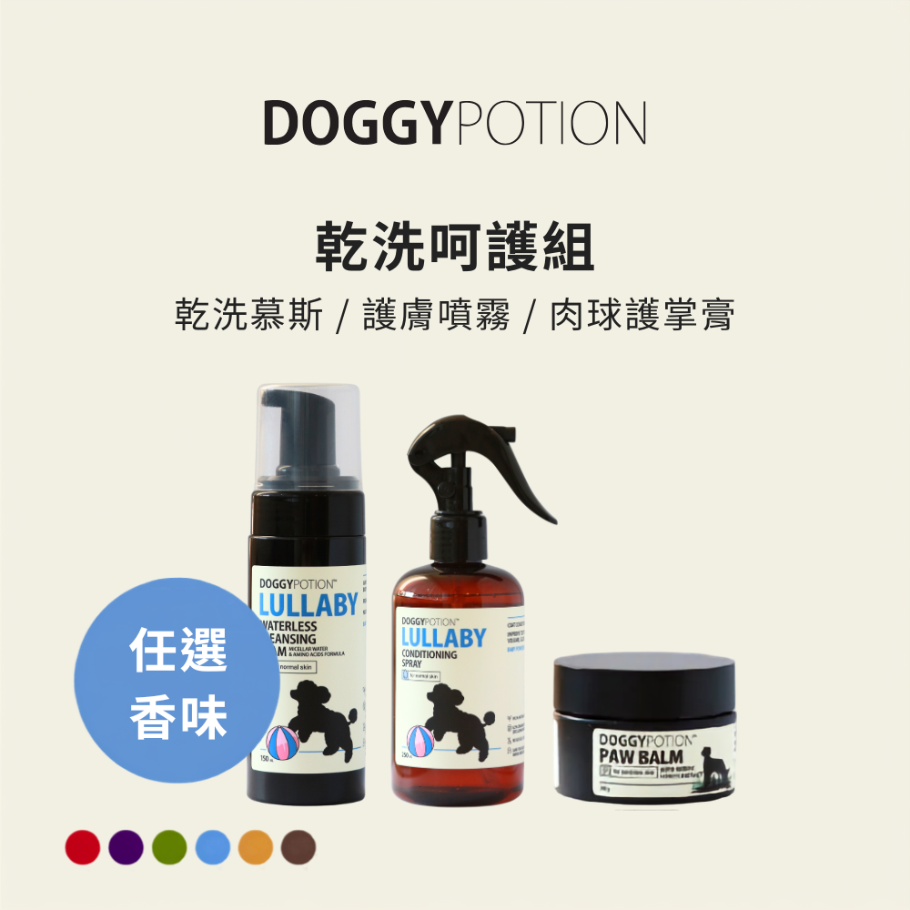 [免運] 乾洗呵護組 - 乾洗慕斯+護膚噴霧+肉球護掌膏｜DOGGYPOTION