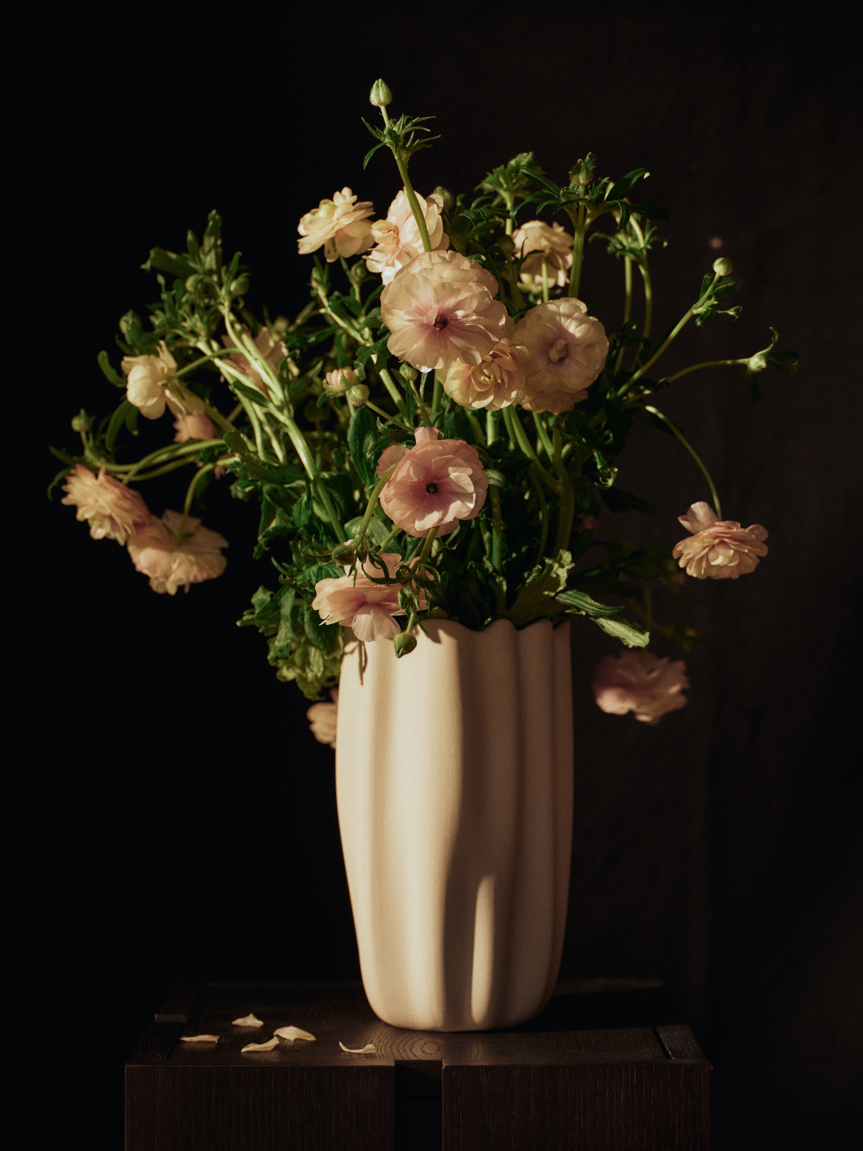 (預購) 柔形 / 花瓶 by Ferm Living