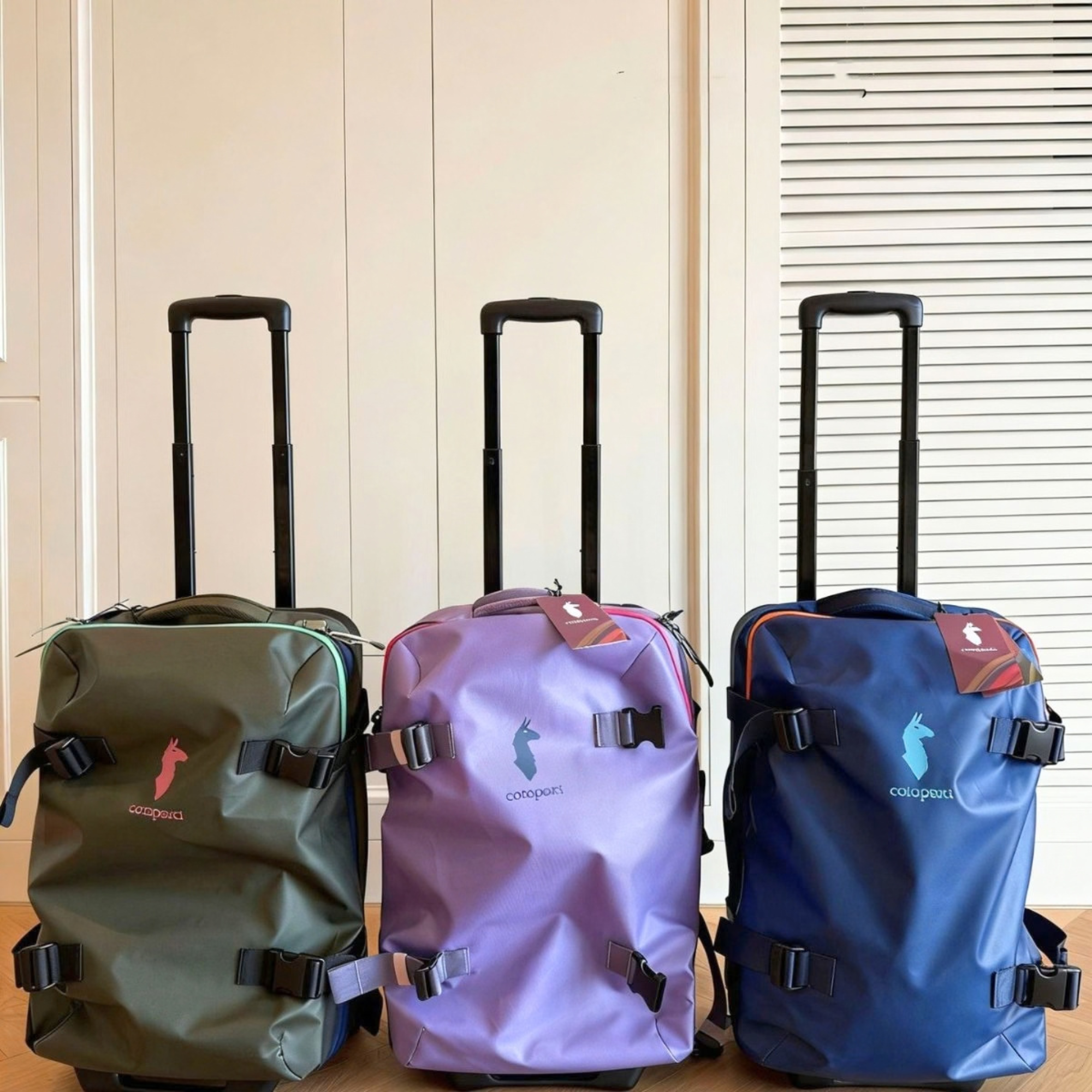 Cot*op*axi Allpa Roller Bag 38L 十月團