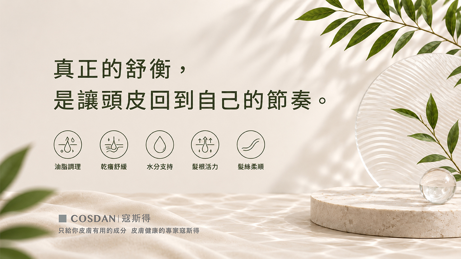 頭皮微生態環境示意