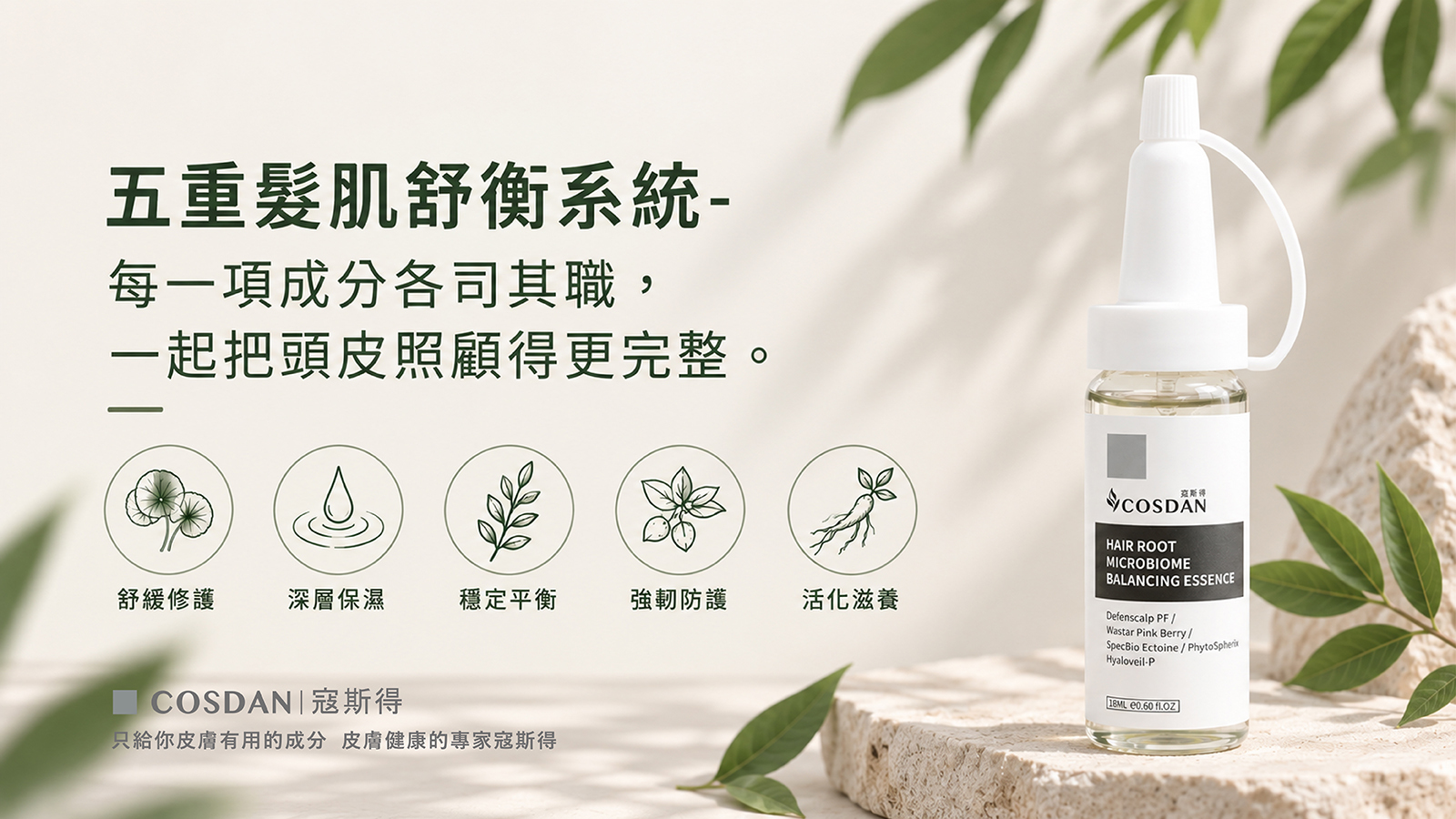五重髮肌舒衡系統示意